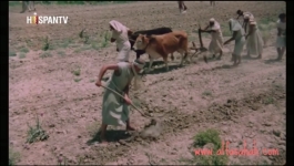 Prophet Yousuf A.S - Episode 30